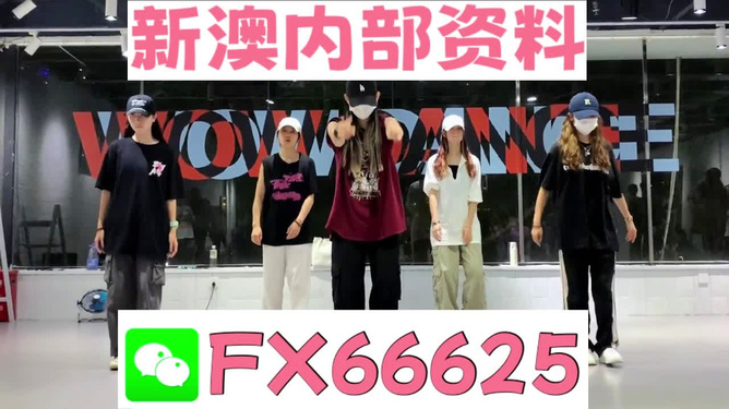 新奧天天免費(fèi)資料大全——探索與優(yōu)化的SEO之旅，新奧天天免費(fèi)資料大全，SEO探索與優(yōu)化之旅