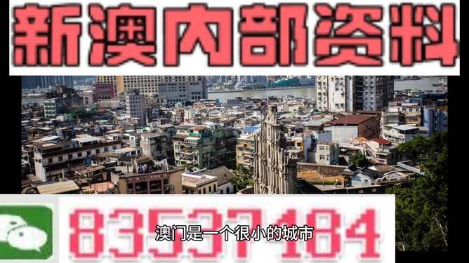 新澳門精準(zhǔn)四肖期準(zhǔn)，探索背后的秘密與策略，澳門精準(zhǔn)四肖期背后的秘密與策略探索