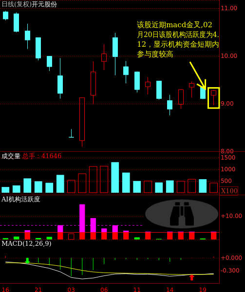 關(guān)于股票300338的全方位解析，股票300338全方位深度解析