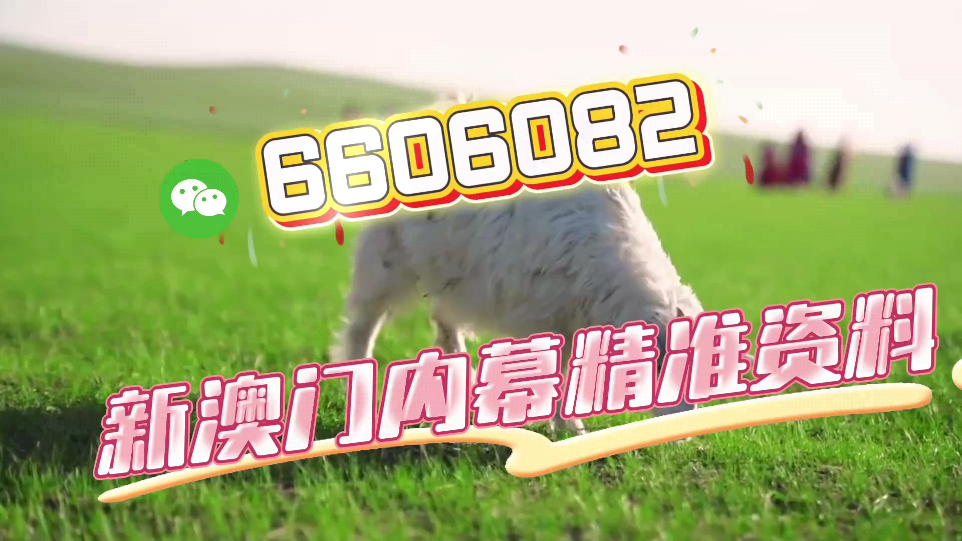 澳門一肖一碼準選今晚，揭秘彩票預測的秘密與策略，澳門彩票預測揭秘，今晚一肖一碼準選策略與秘密