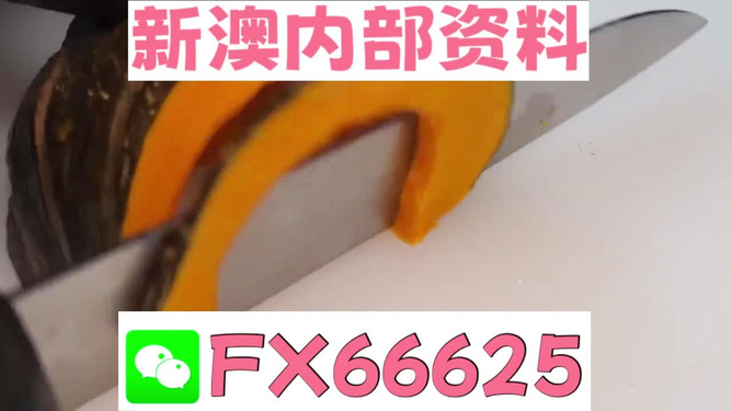 澳門管家婆，揭秘精準(zhǔn)預(yù)測的秘密武器，澳門管家婆揭秘，精準(zhǔn)預(yù)測的秘密武器全解析
