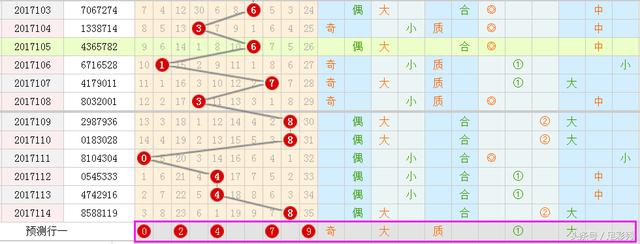 王中王彩霸王一肖中特——揭秘彩票背后的秘密，彩票背后的秘密揭秘，王中王彩霸王一肖中特探秘之旅