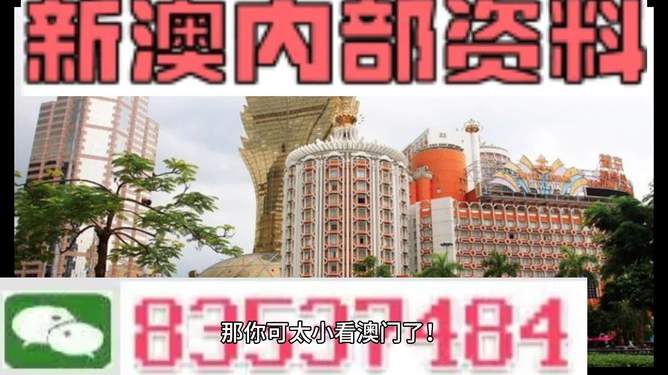 新澳新澳門正版資料，探索與解析，新澳新澳門正版資料深度解析與探索