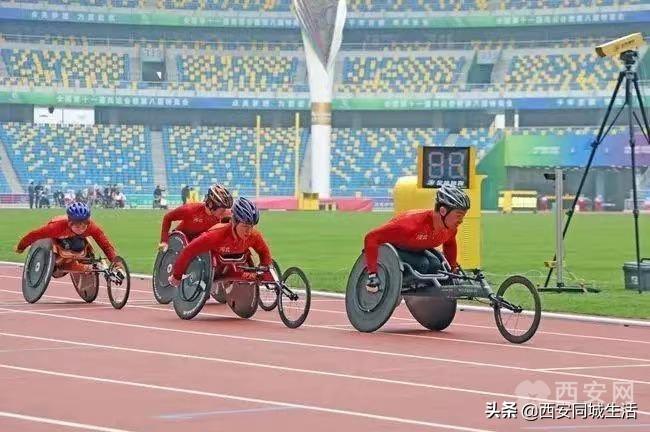 探索澳門未來，2025新澳門正版免費資本車展望，澳門未來展望，2025資本車正版免費探索之旅