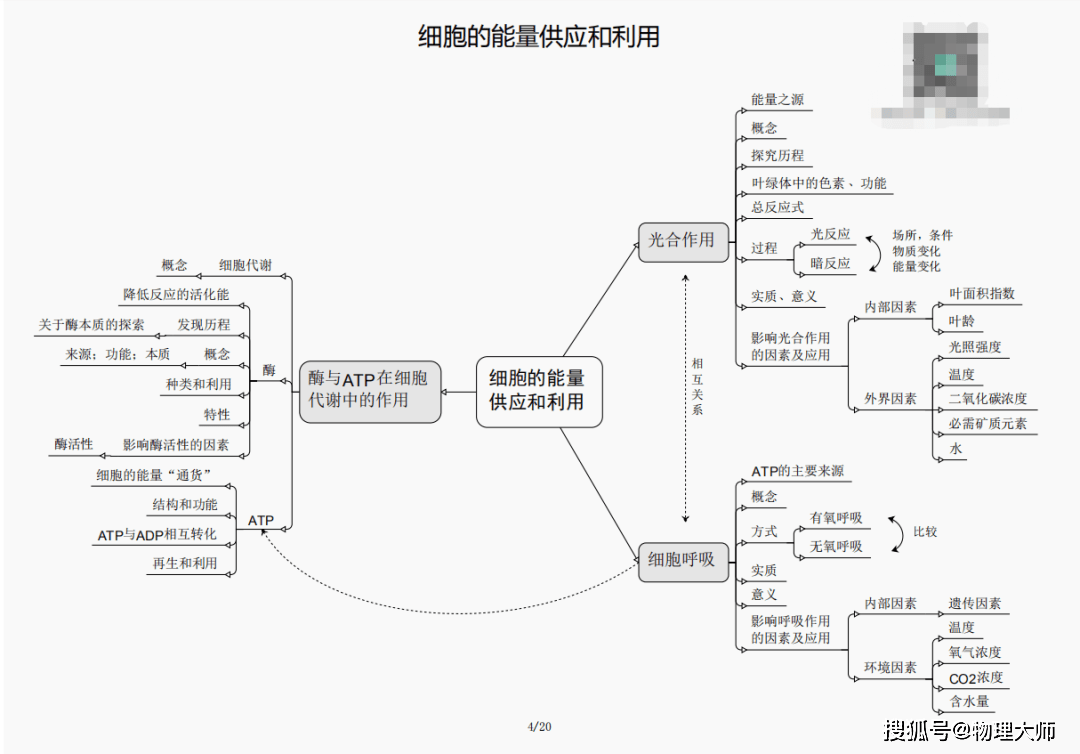 今期三肖必劉伯溫一肖，揭秘預(yù)測背后的故事與智慧，揭秘劉伯溫預(yù)測背后的故事與智慧，今期三肖鎖定一肖之選