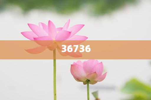 揭秘7777788888精準(zhǔn)新傳真，真相大揭秘，揭秘精準(zhǔn)新傳真背后的真相，77777與88888的神秘面紗被揭開