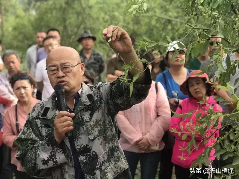 長期吃紅棗的潛在害處，了解并平衡飲食健康，長期食用紅棗的潛在風(fēng)險與飲食平衡的重要性