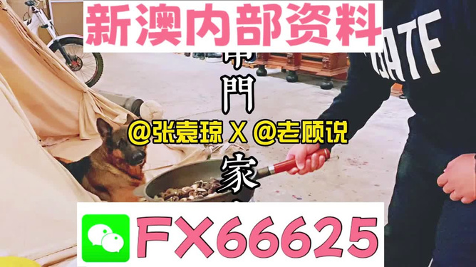 澳門管家婆資料正版大全——全面解析與深度探索，澳門管家婆資料正版大全，全面解析與深度探索指南