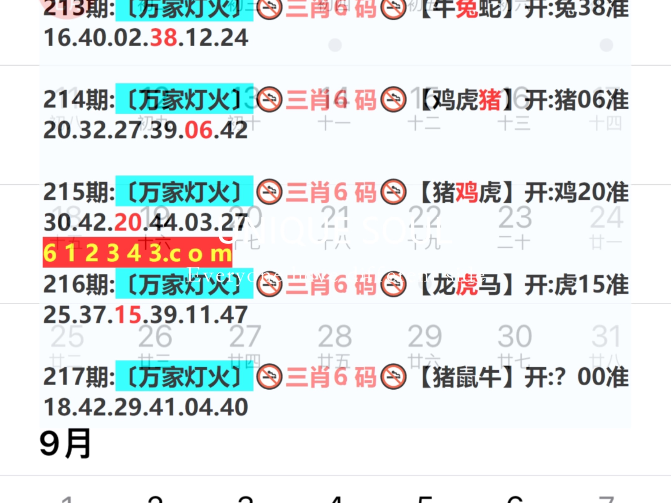 揭秘2025年新澳門王中王資料，全方位解讀與預(yù)測(cè)，揭秘與預(yù)測(cè)，2025年新澳門王中王全方位解讀與趨勢(shì)展望