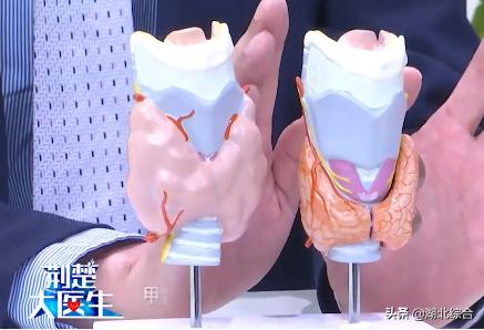 甲減的癥狀，深入了解甲狀腺功能減低的常見表現(xiàn)，深入了解甲狀腺功能減退的癥狀表現(xiàn)，甲減的征兆與常見表現(xiàn)