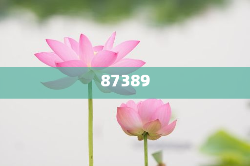 一肖是否包括特肖？深度解析生肖文化中的奧秘，深度解析生肖文化，一肖是否包含特肖？