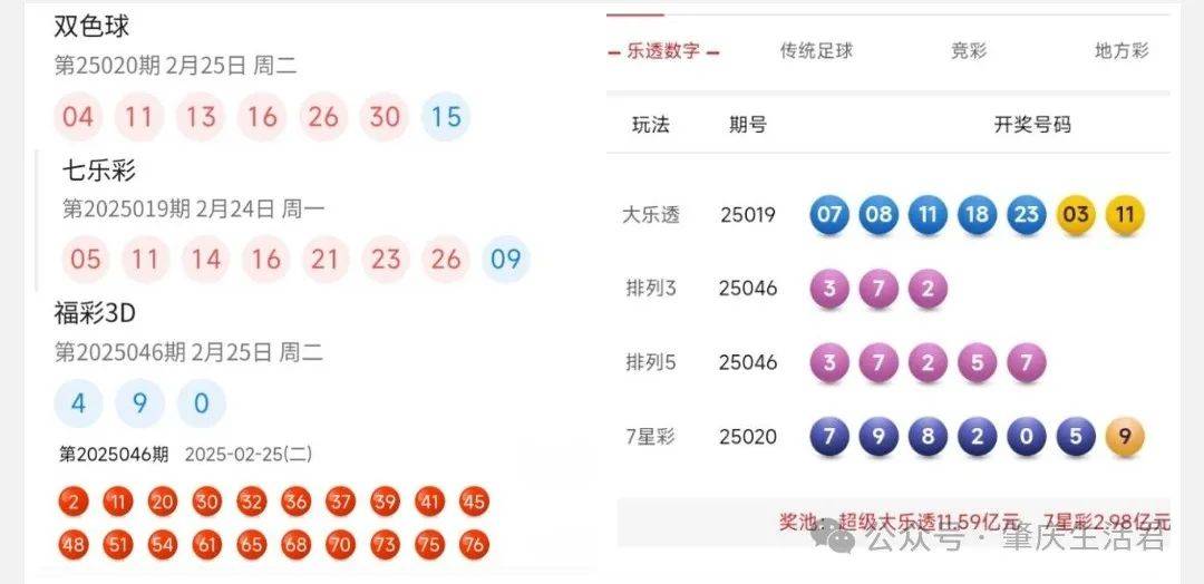 香港今晚開獎(jiǎng)結(jié)果號(hào)碼是多少——揭秘彩票背后的秘密，揭秘彩票背后的秘密，香港今晚開獎(jiǎng)結(jié)果號(hào)碼揭曉