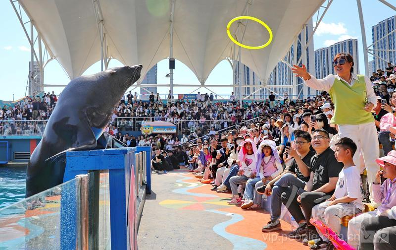 新澳2025今晚開(kāi)獎(jiǎng)結(jié)果揭曉，期待與驚喜并存，新澳2025今晚開(kāi)獎(jiǎng)結(jié)果揭曉，期待與驚喜交織的時(shí)刻