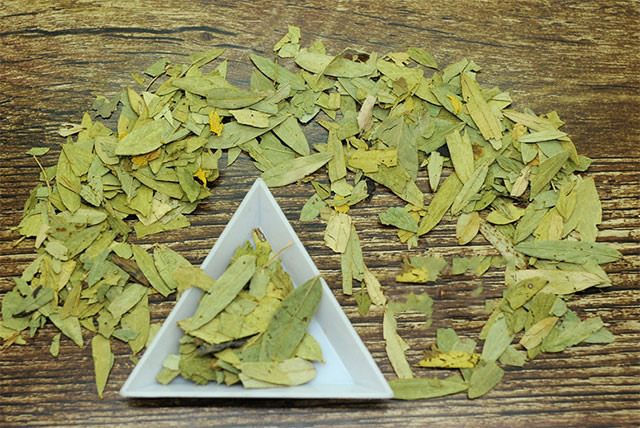 番瀉葉的功效與作用，番瀉葉的功效與作用簡介