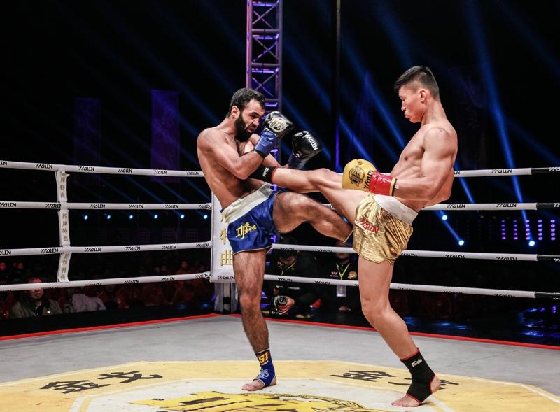 王中王網(wǎng)四肖主一碼，深度解析與SEO優(yōu)化策略，王中王網(wǎng)四肖主一碼，深度解析與SEO優(yōu)化策略全攻略