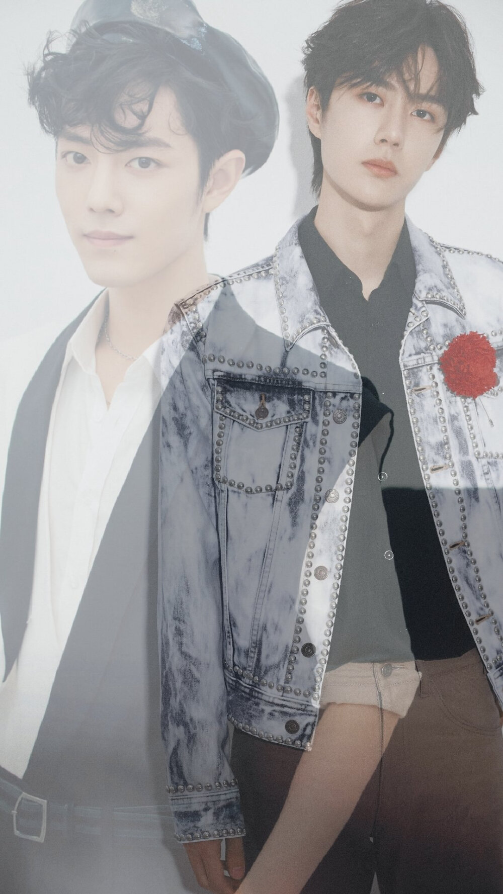 王中王一肖中特亓，探索關鍵詞背后的神秘面紗，揭秘關鍵詞背后的神秘面紗，王中王一肖中特亓探索之旅