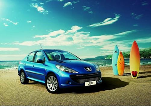 王中王307期指一生肖——深度解讀與SEO優(yōu)化，王中王307期生肖深度解讀與SEO優(yōu)化策略揭秘