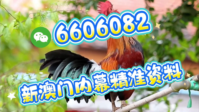 澳門特馬今天開獎結(jié)果，揭秘彩票背后的秘密，澳門特馬今天開獎結(jié)果揭秘，彩票背后的秘密大揭曉