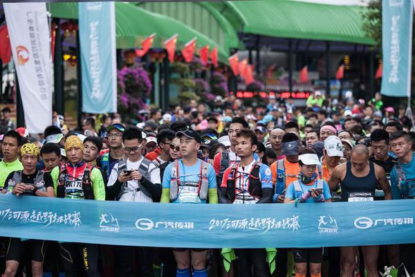 一肖平特王中王，揭秘彩票背后的秘密與策略，揭秘彩票背后的秘密與策略，一肖平特王中王之選